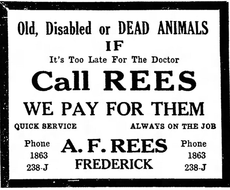 The_News_Mon__Oct_14__1929_Rees AD